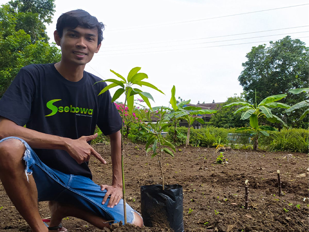 AI Charity Search Engine: For Trees And The Needy|Ssebowa